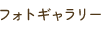 フォトギャラリー