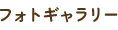 フォトギャラリー